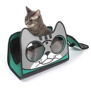backpack with cat inside_180