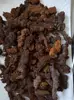 WHOLESALE PRICE! 2.2LB LARGE COPROLITE zed Dinosaur Poop Specimen 2