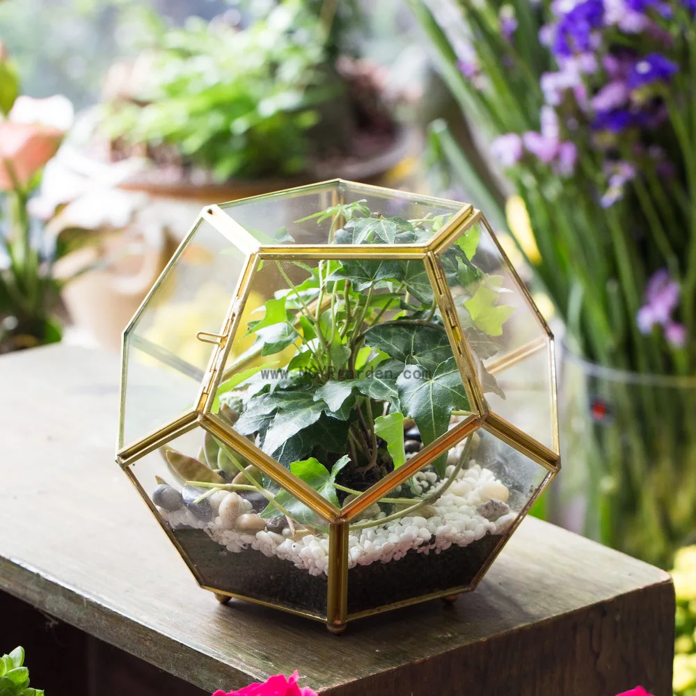 Copper Brass Sphere Glass Geometric Terrarium Pentagon ...