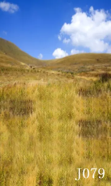 

3*5M Art Cloth Custom Photography Backdrops Prop Nature theme Studio Background J-079