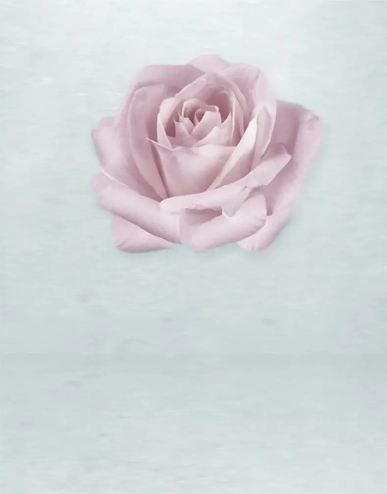 

5x7ft Pink Rose Flowers Photography Backdrops Photo Props Studio Background