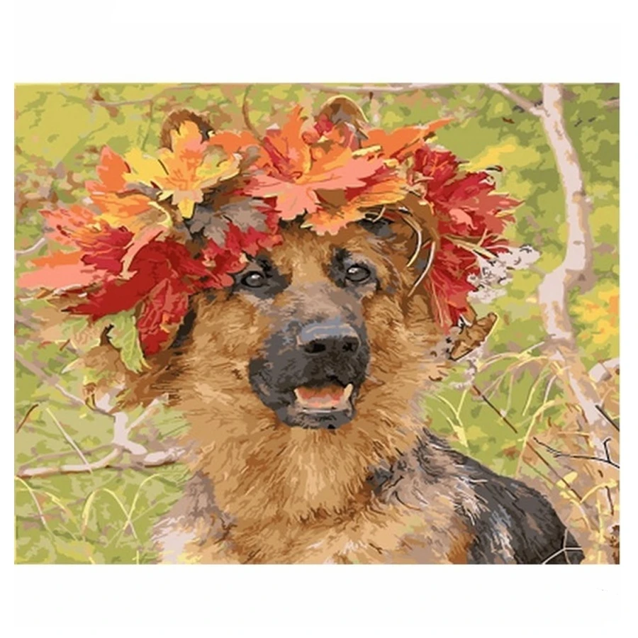 German Shepherd Dog Pet__