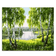 Coloring by numbers White Birch at the creek scenery pictures paintings artwork canvas paint with kits for hoom decor the hanging at stinking creek