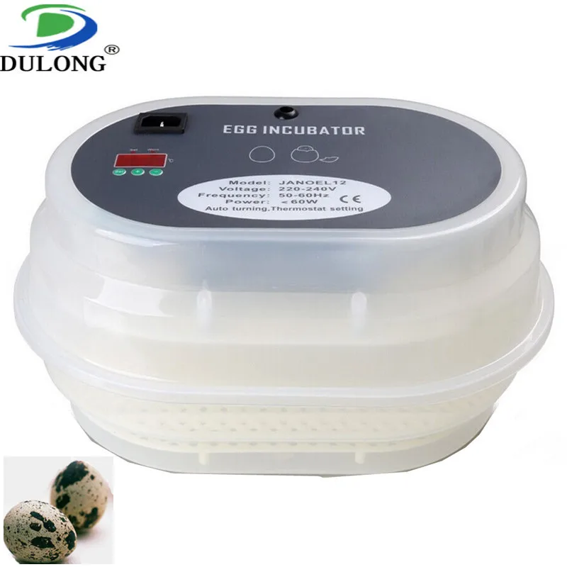 

Egg incubator temperature humidity controller/egg incubator parts for sale/reptile egg incubator/mini egg incubator for sale