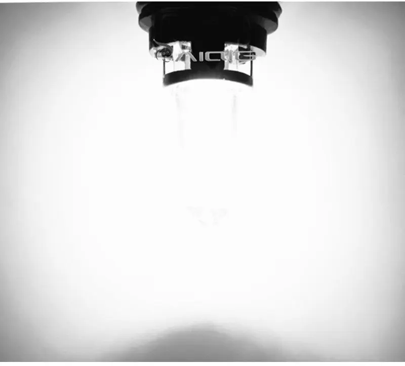 Рисунок 6 - Галогенные лампы HB4 9006 55 Вт