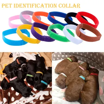 

Adjustable 12 Colors Identification ID Collars Bands Whelp Puppy Kitten Dog Pet Cat Velvet Practical Puppy Pet Supplies
