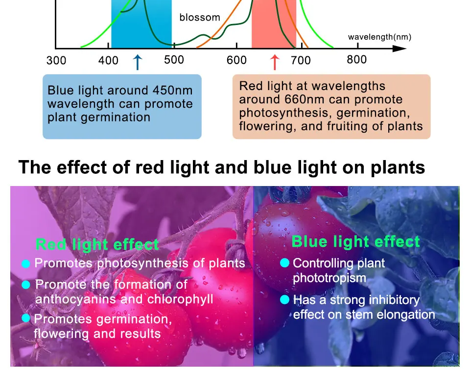 85-265V LED Grow Light Full Spectrum Grow Lamp 6W 10W E27 LED Bulbs Phyto Lamps For Plants Seeds Flower Vegetables Hydroponics (5)