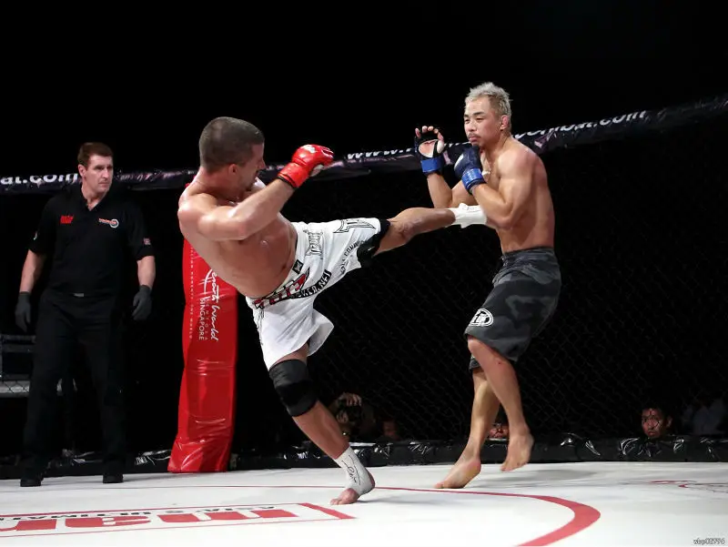 

Jong Man Kim vs Aaron Steele MMA Art Huge canvas Poster D5442