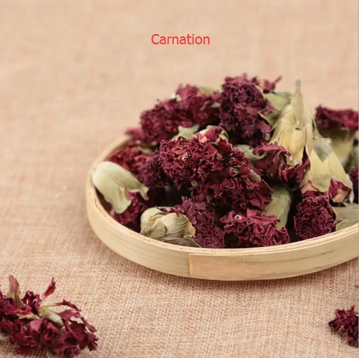 carnation