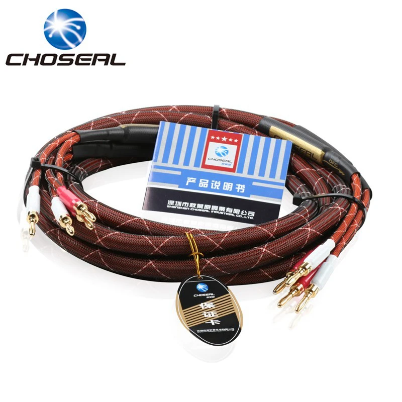 

Choseal LB5110 Top Level Speaker Cable Professional Hi-Fi Power Amplifier Cable Gold-Plated Banana Plug (2 Pair) 2.5M