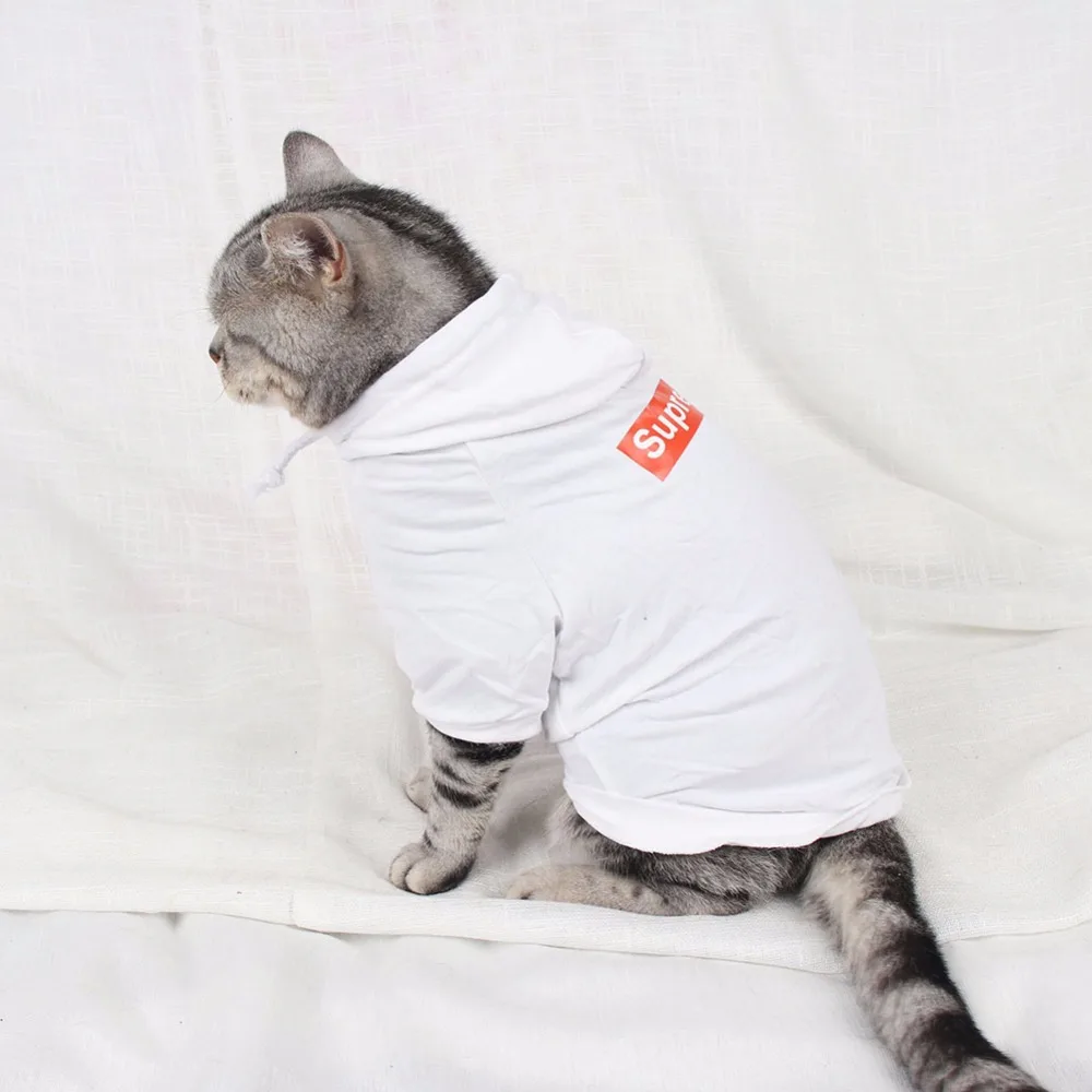 Одежда для домашних животных худи аксессуары для кошек костюм наряд Одежда для котят одежда для щенков щенок йоркширского терьера пальто Каттен kleding