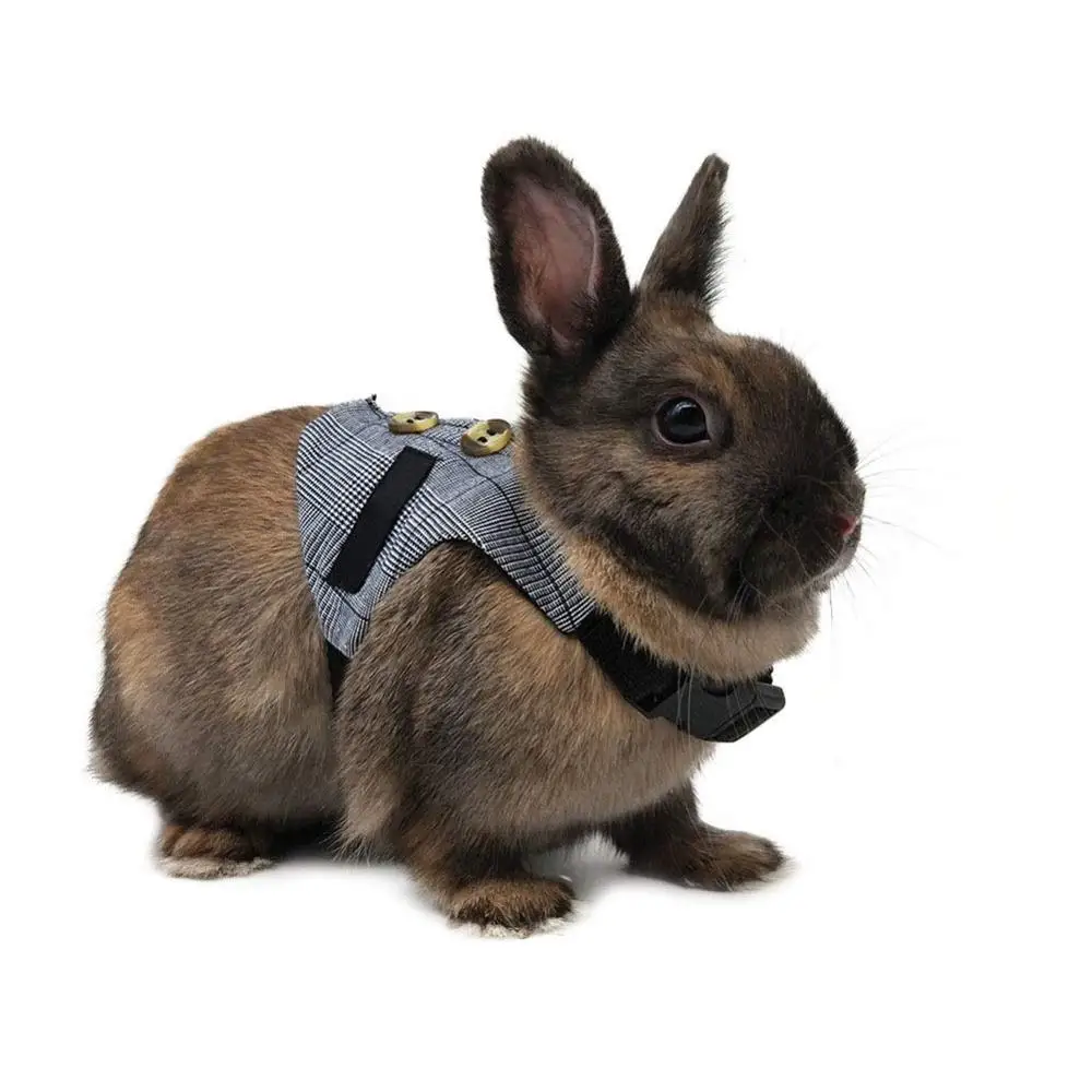 

Multipurpose Rabbit Harness Small Pet Leash Chinchillas Guinea Pig Vest Clothes