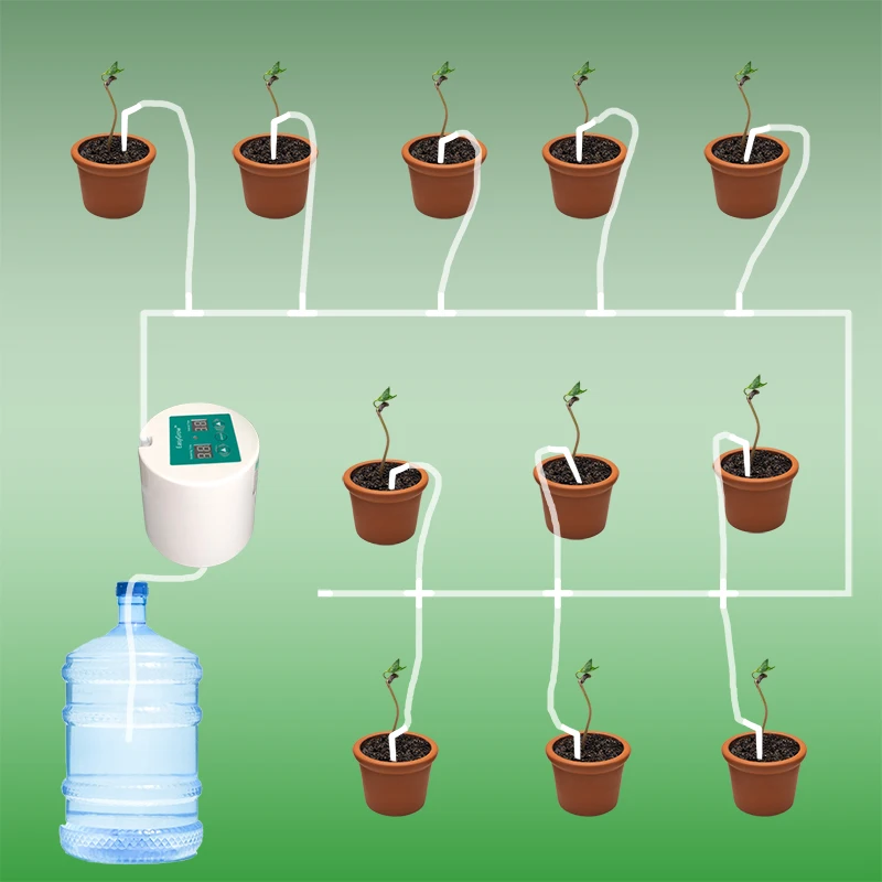 Beste Kopen Intelligente Tuin Automatisch Sproeisysteem Apparaat Vetplanten Planten Druppelirrigatie Tool Waterpomp Timer Systeem Controller Druppelen Pijl Goedkoop Vente9ziw Beste Kopen Intelligente Tuin Automatisch Sproeisysteem Apparaat Vetplanten Planten Druppelirrigatie Tool Waterpomp Timer Systeem Controller Druppelen Pijl Goedkoop Vente9ziw