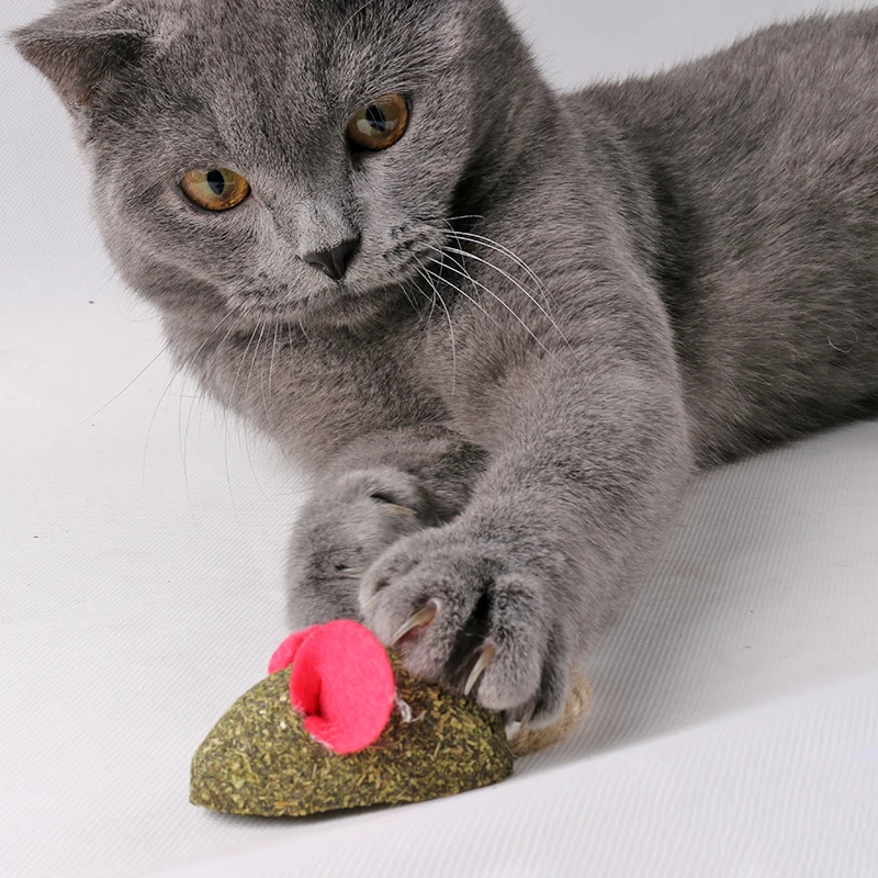 

[MPK Store] Cat Toy Natural Catnip Ball, Menthol Flavor, Cat Treats, 100% Edible Cats-go-crazy Treats