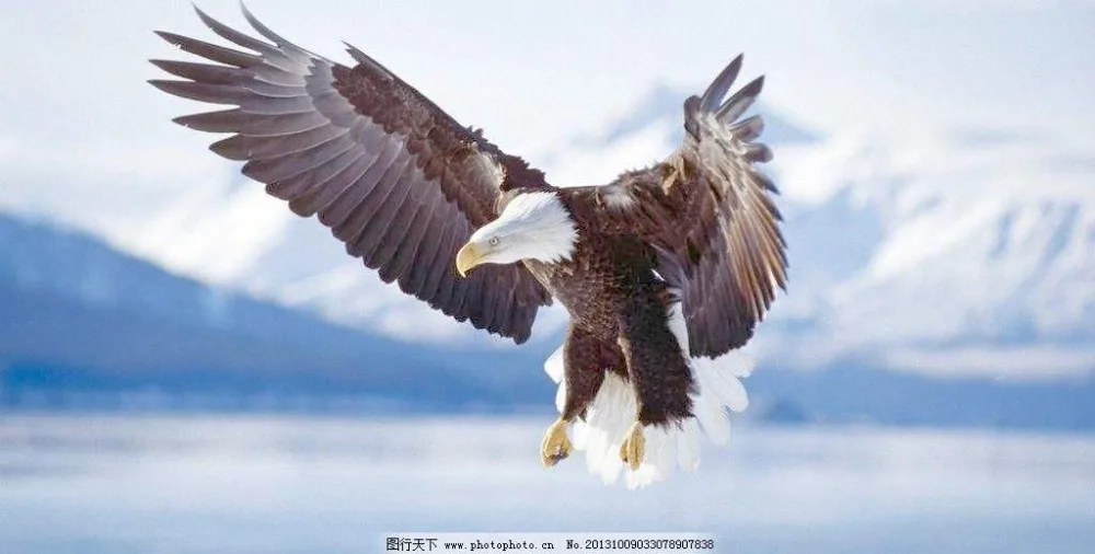 timg_image&quality=80&size=b9999_10000&sec=1532973758873&di=4c2103e6b0af36039774b154734dcb2a&imgtype=0&src=http%3A%2F%2Fpic29.photophoto.cn%2F20131009%2F0020033078907838_b