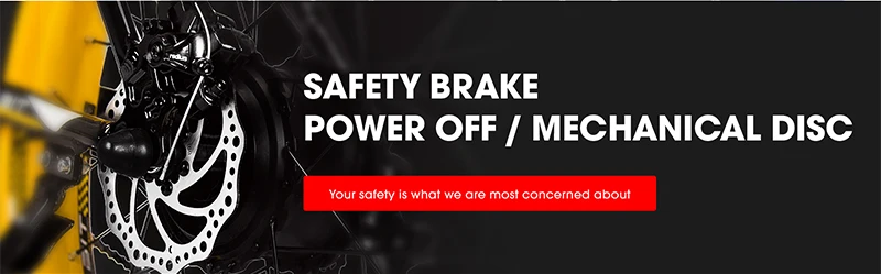 Perfect RichBit RT-012 Plus Fat Tire ebike 21 speeds 48V 1000W 17Ah Lithium Battery powerful Electric Bicycle With Computer Speedometer 19 Perfect RichBit RT-012 Plus Fat Tire ebike 21 speeds 48V 1000W 17Ah Lithium Battery powerful Electric Bicycle With Computer Speedometer 19