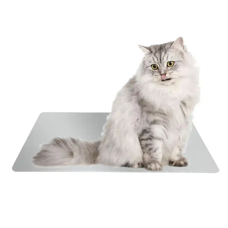 Pets Cooling Plate Hamster Totoro Rabbit Summer Heat Dissipation