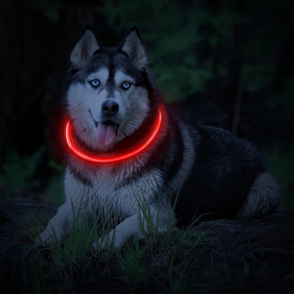 Rechargeable Flashing Night Dog Collars USB luminous pet collar led light USB charging dog collar Teddy Flash Collar dog harness