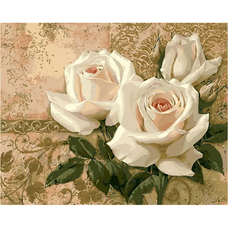 

Frameless modular Pictures DIY Digital Oil Painting By Numbers on the canvas White Rose of the paintings on the wall 40*50 cm