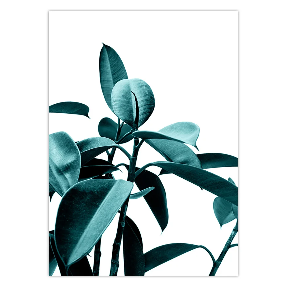 color_opt_2