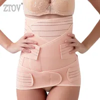 ZTOV 3 ./.         Intimates      