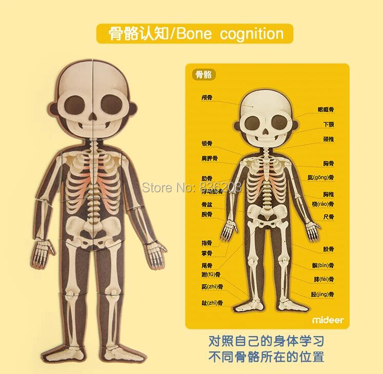 QQ20181029184441