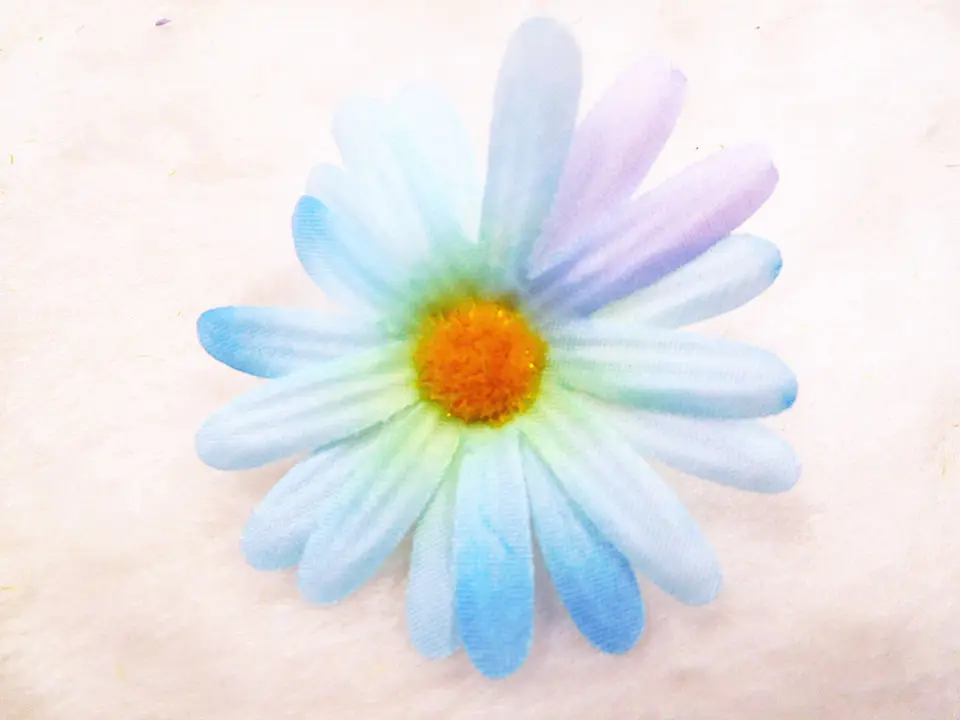 DSCN0452_