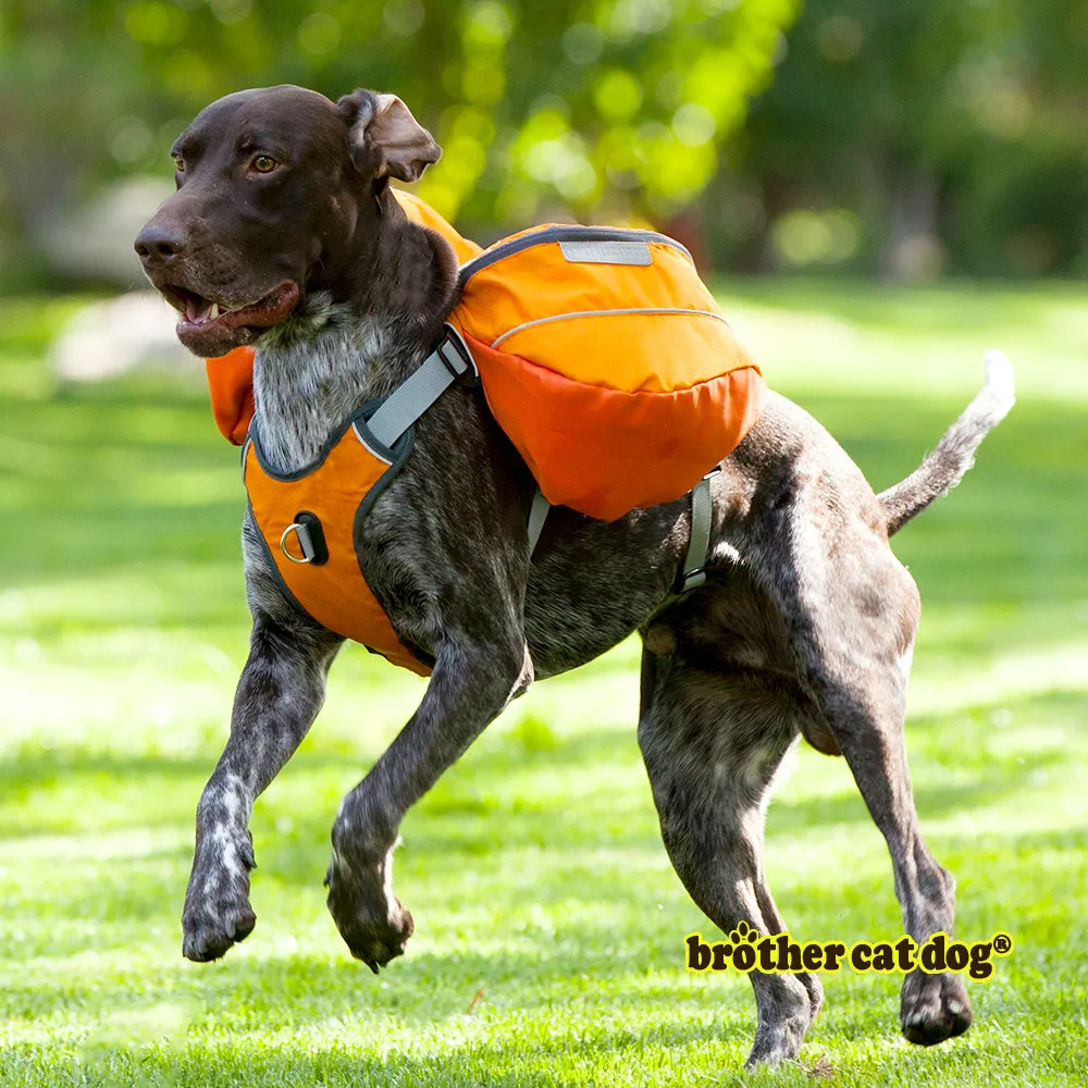 saddle bag harness for dogs