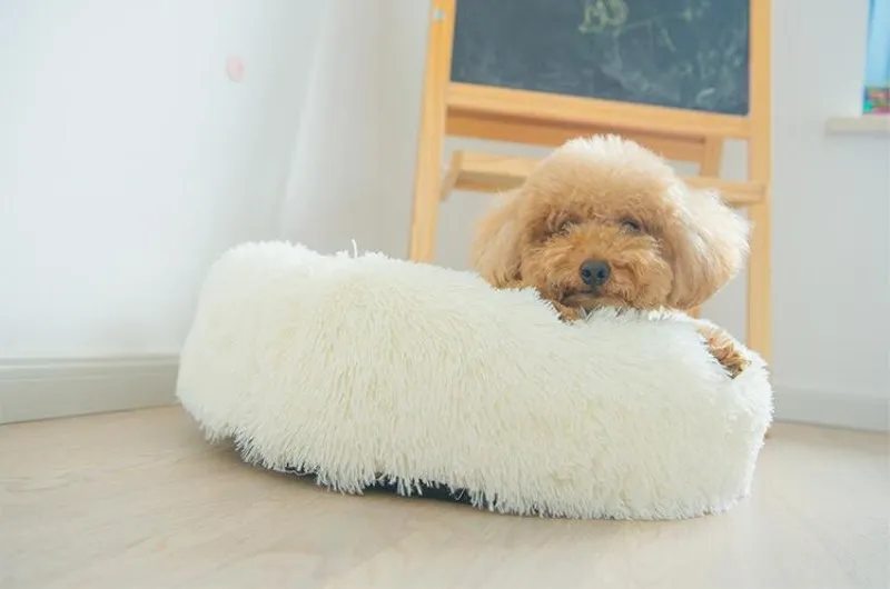 상품 이미지 18