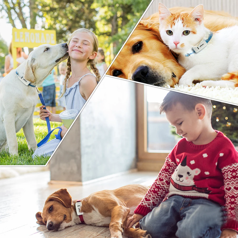 GPS Tracker Dog GPS Tracker TK909 Waterproof IP65 Geofence Google Track For Cat Collar Voice Monitor Mini Locator For Dog FREE APP