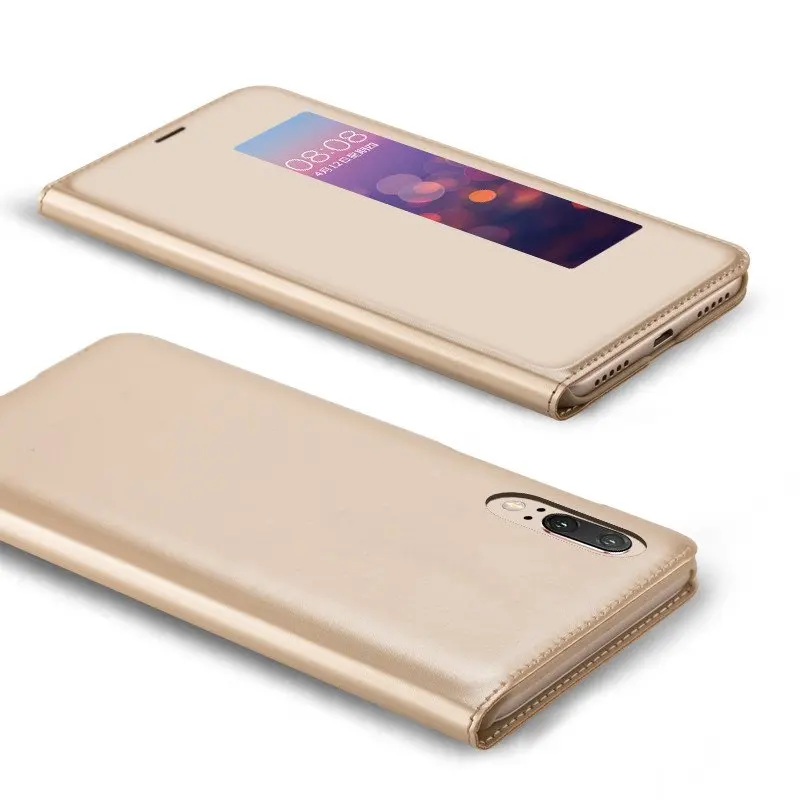  p20  (5)