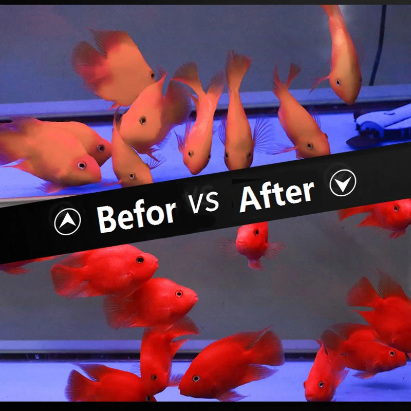 

500g/bottle Blood Parrot Fish Food Intense Red Enhancing Fast Coloring Small Pellets 1mm Fish Feeders Foods