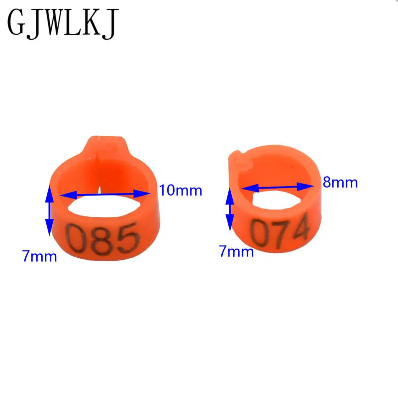 1000 кольцо для ног для птиц 8 мм и 10 мм переноска для домашних животных голубь попугай 10 цветов кольцо для ног штык маркировочное кольцо