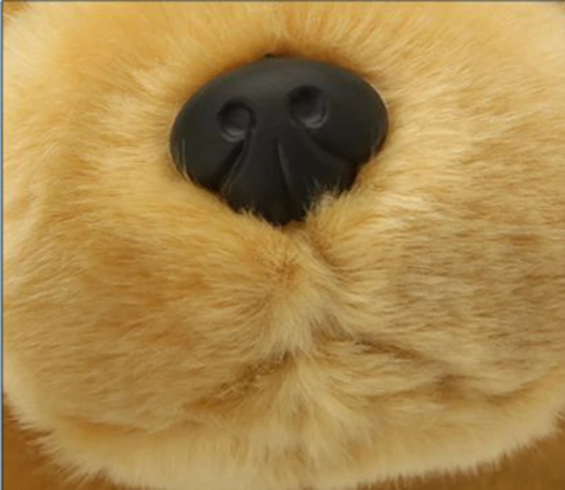 Dorimytrader quality soft animal Labrador retriever plush toy animals Golden Retriever  stuffed doll  lying on back dog 22inch 55cm DY61914 (2)