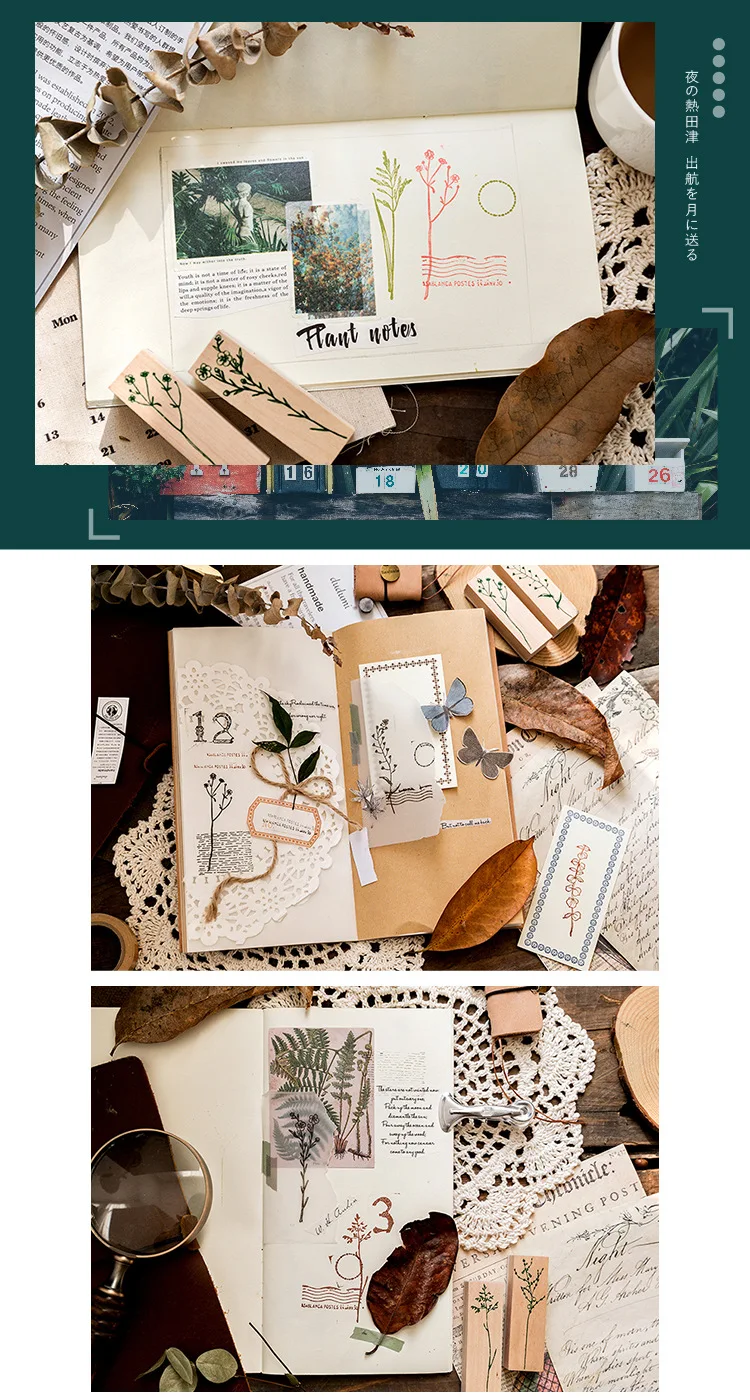 //cbu01.alicdn.com/img/ibank/2018/434/066/9749660434_1057887383.jpg