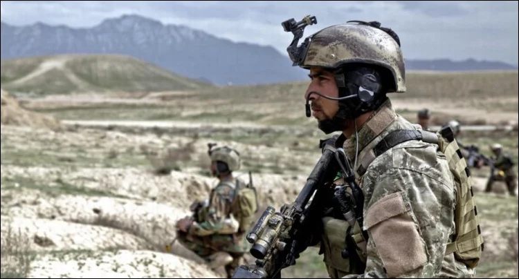 HTB1P__tNQzoK1RjSZFlq6yi4VXa3