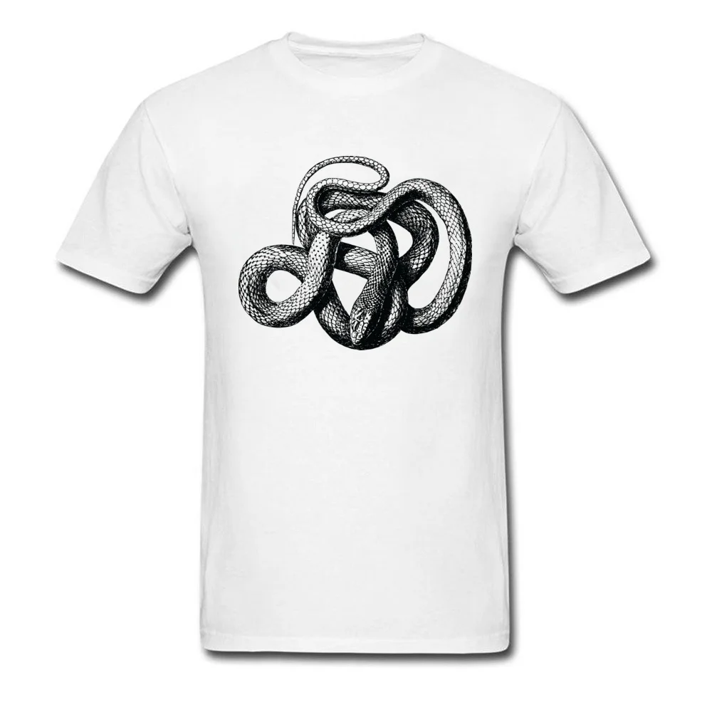 1486-Free-Clipart-Of-A-Snake_white