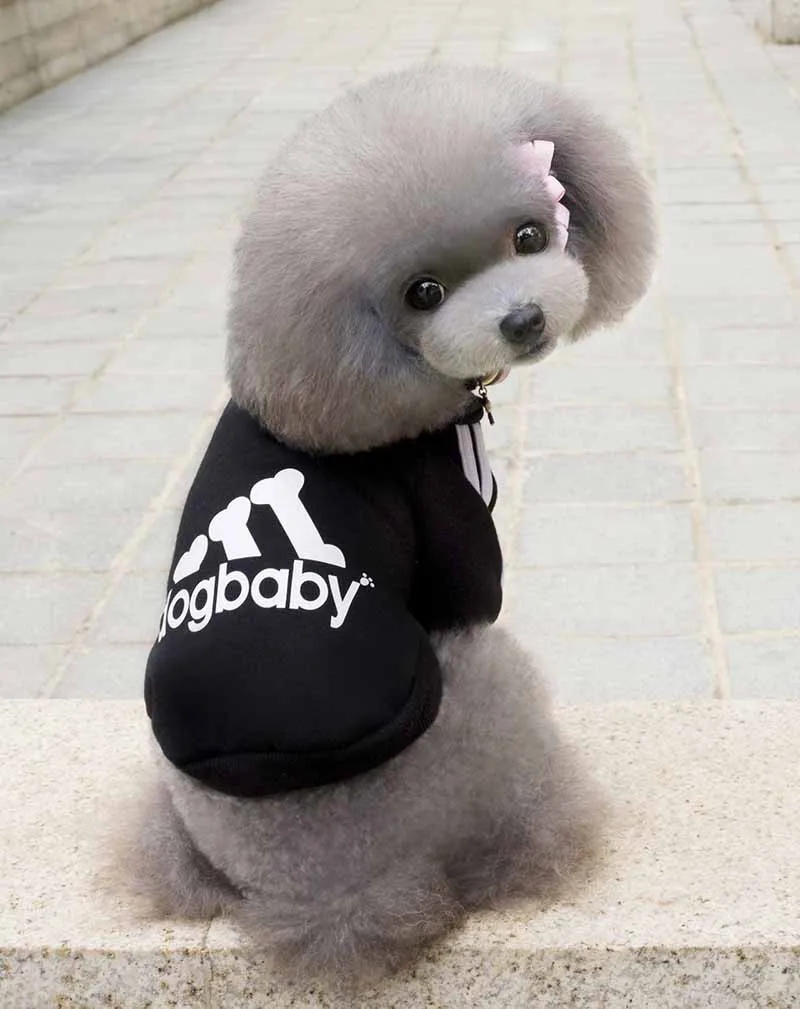 XS S M L XL XXL Pet Dog Clothes Sport Dog Hoodie Chihuahua Sweater Coat for Small Dogs Cats Pet Supplies Puppy Costume Black Red Yellow Gray 7