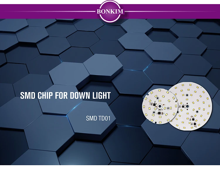 LED Down Light_TD-01_01