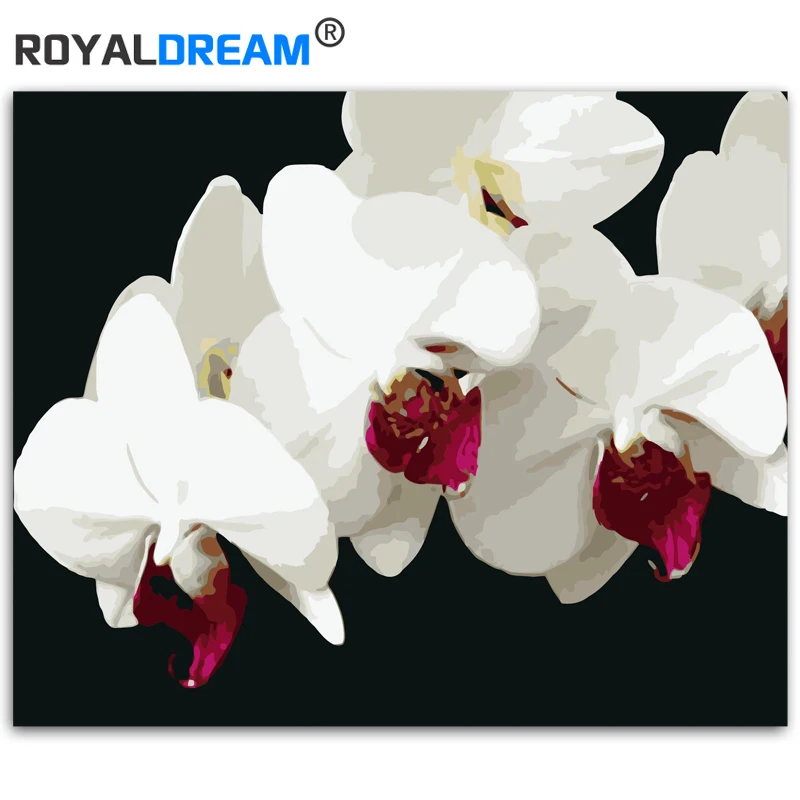 Белый фаленопсис ROYALDREAM DIY живопись по номерам Настенная картина акриловый холст