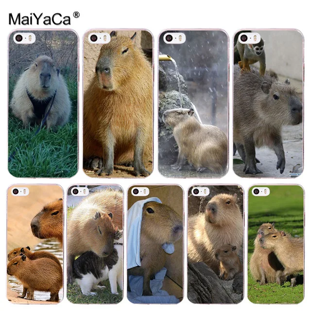 

MaiYaCa Animal Capybara New for iPhone 4S SE 5C 5S 5 6 6S 7 8 Plus X XR XS MAX Phone Cases transparent Soft TPU Cover Cases