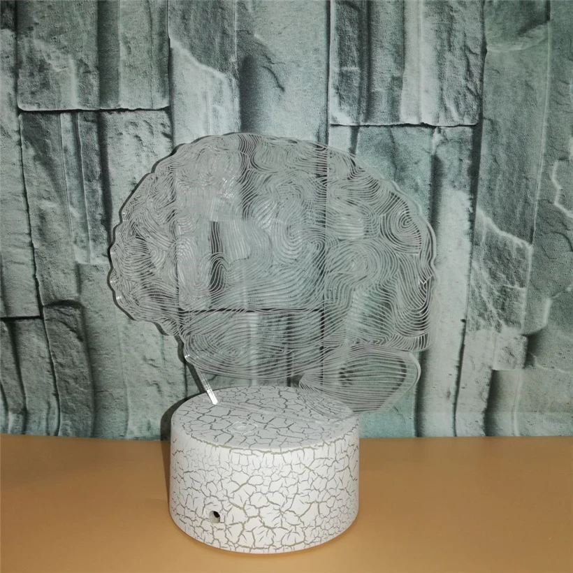 Brain 3D night light (1)