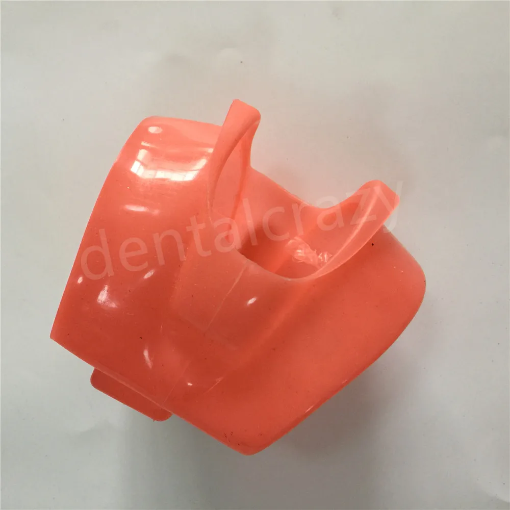 Dental Tooth Mouth Mask Study Teaching Model Mask Holder Decor Dental