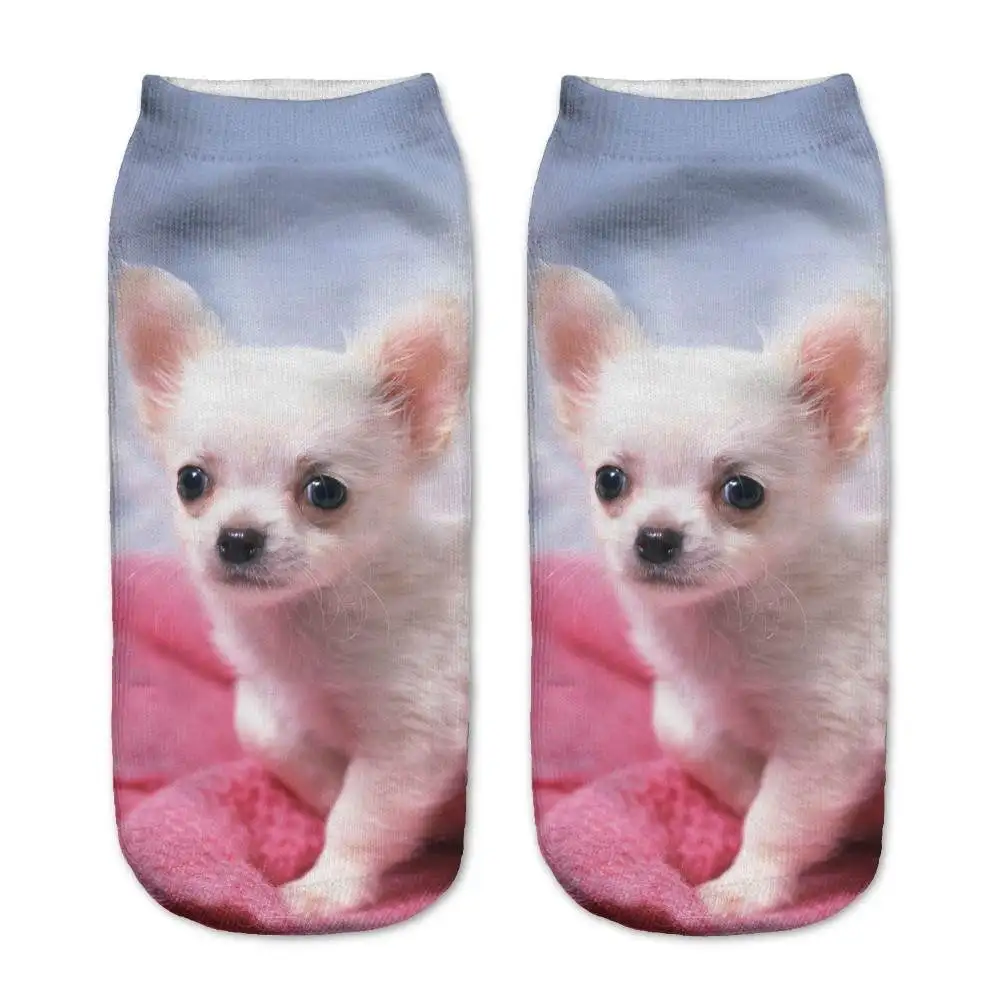 1pair 3d Small White Dogs Printed Socks Blue With Pink Color
