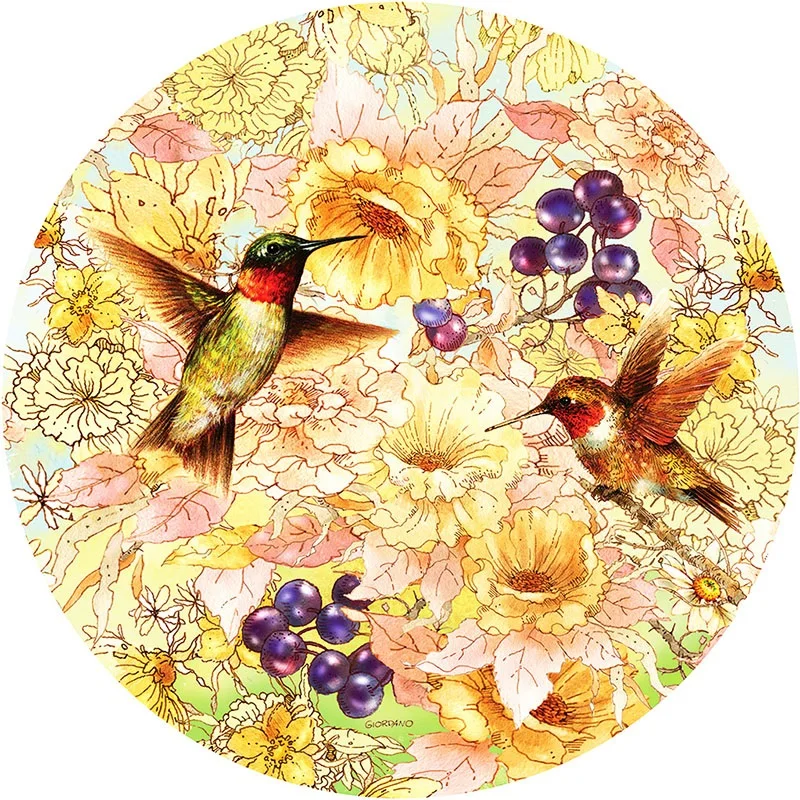 Алмазная 5D картина сделай сам вышивка крестиком Humming Bird Love Flower полная выкладка