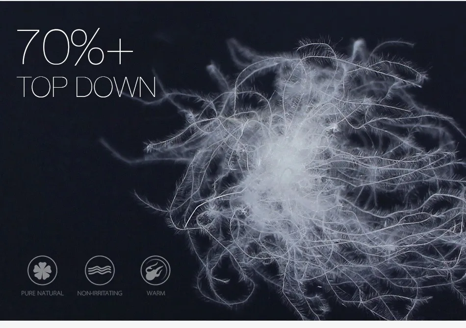 70%Down