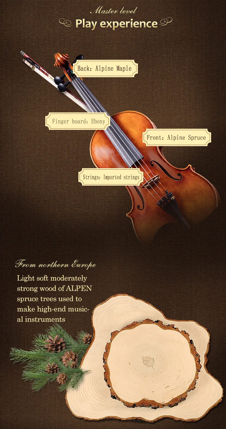 Taishi Guarnieri 1743 скрипка профессиональный уровень 4/4 скрипка o Strad реальный профессиональный уровень Melhor производительность