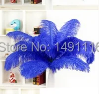 

Wholesale 10 pcs/ lot high quality Navy blue ostrich feathers 18-20inches / 45-50cm DIY jewelry decoration / wedding celebration