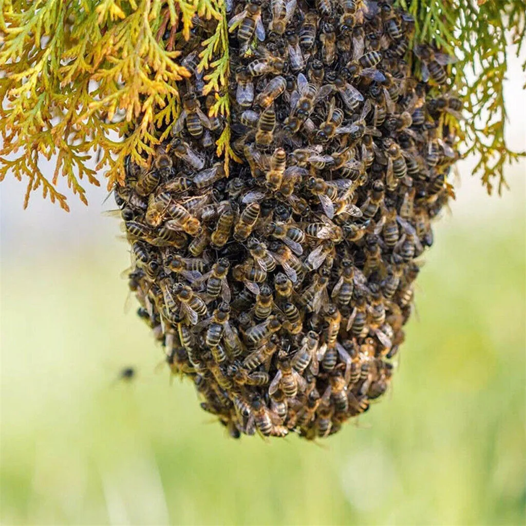 Забавный продукт 100 мл Swarm Commander Премиум Приманка мед пчелиный улей Пчеловодство ловушка инструмент DEN#0506