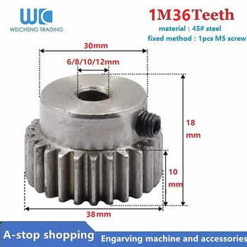 

1pcs 1M36teeth spur gear 6/8/10/12mm 36T Motor Pinion Gear for RC Car Brushed Brushless Motor
